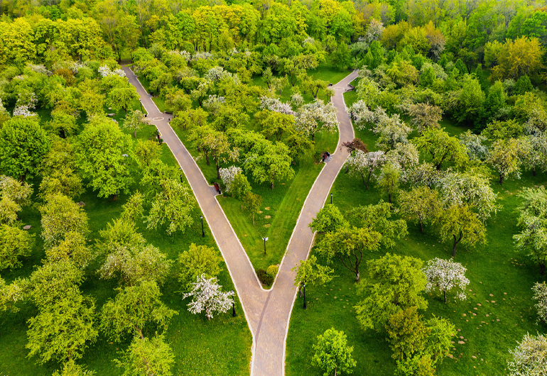 Contract Marketing Director Service